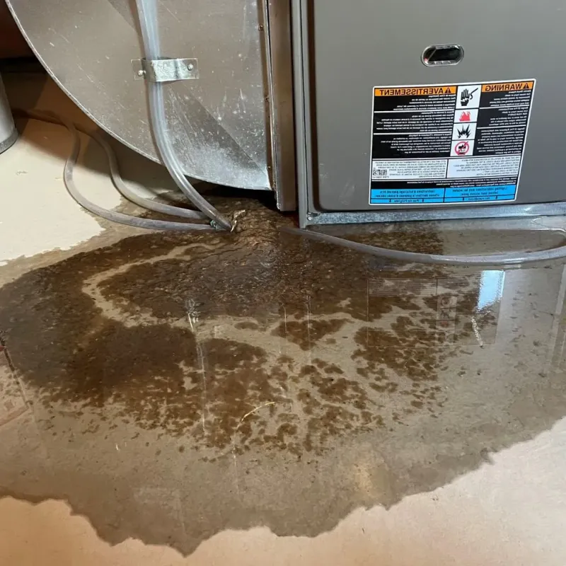 Pipe Burst and Leak Restoration in Radcliff, KY